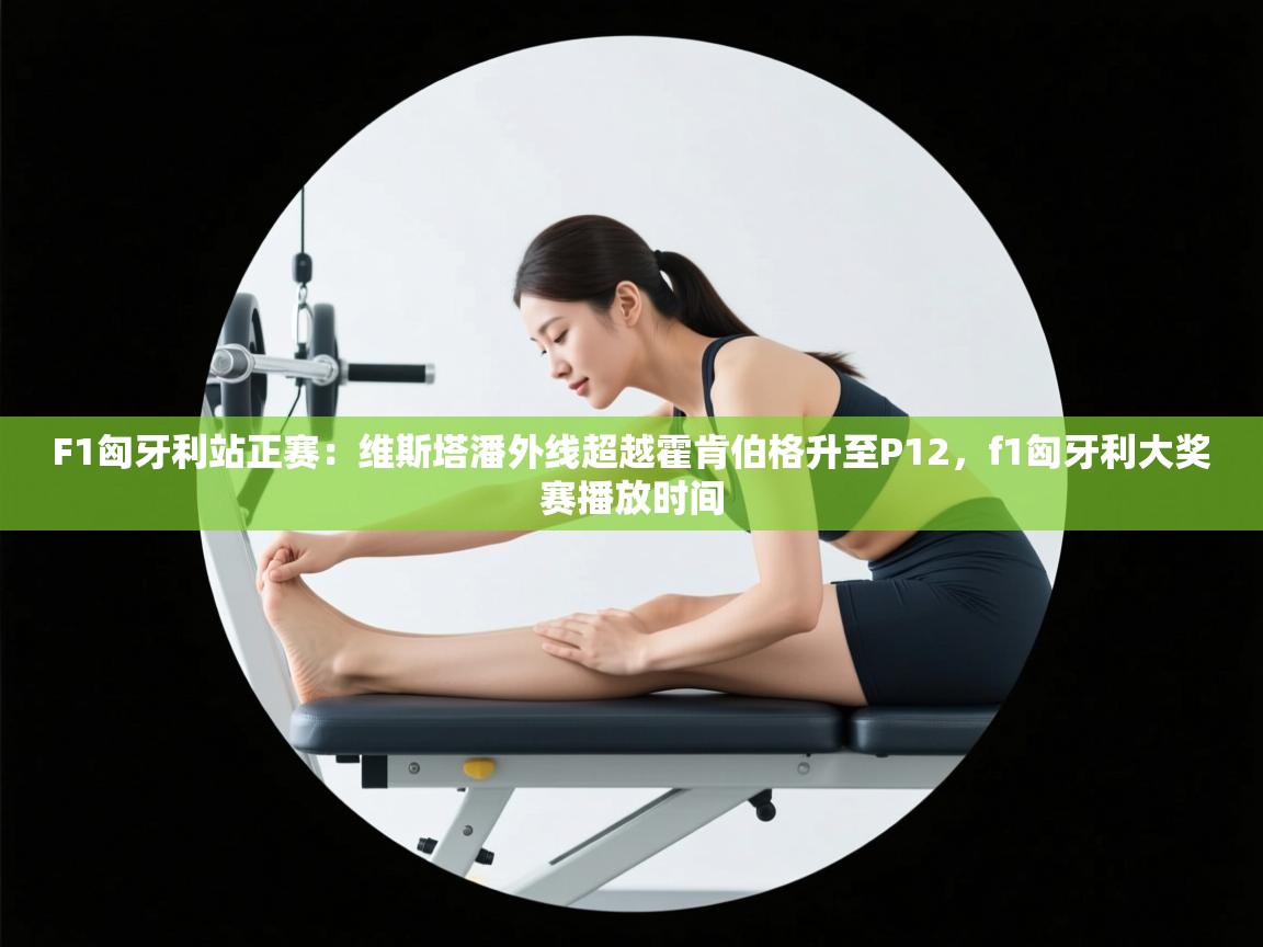 海星体育-F1匈牙利站正赛:维斯塔潘外线超越霍肯伯格升至P12,f1匈牙利大奖赛播放时间 第2张