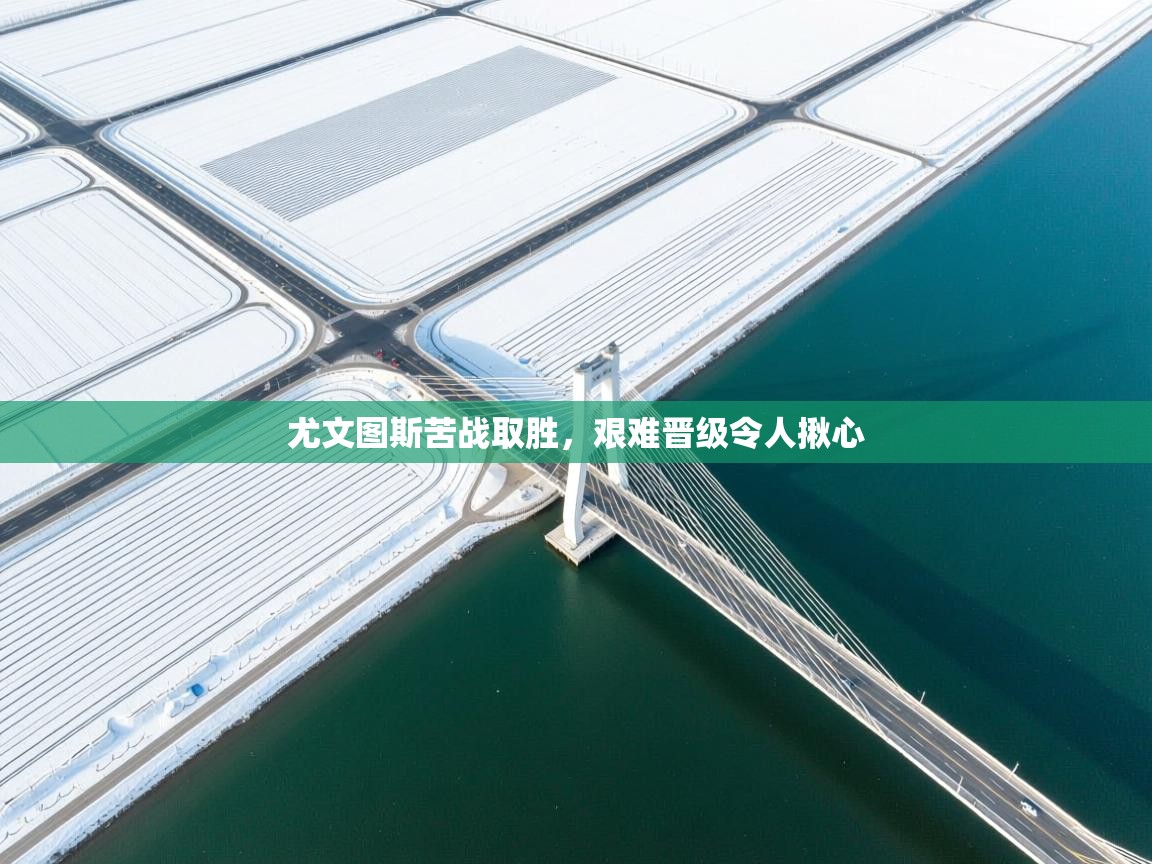 海星体育官网-尤文图斯苦战取胜,艰难晋级令人揪心 第2张