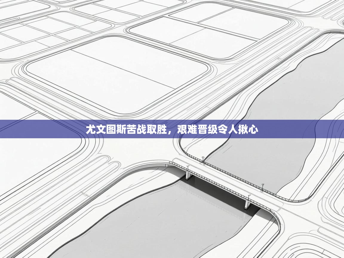 海星体育官网-尤文图斯苦战取胜,艰难晋级令人揪心 第3张