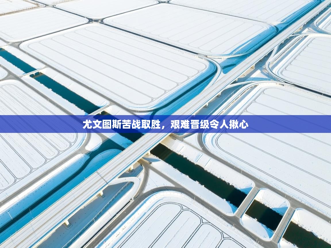 海星体育官网-尤文图斯苦战取胜,艰难晋级令人揪心 第4张