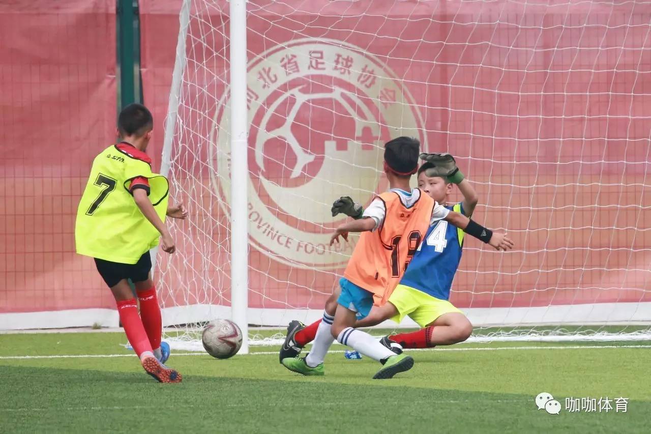 德赢集团-汉堡青训学院培养未来之星取得成果的简单介绍
